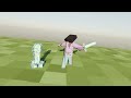 XxEndermanWranglerMCxX Intro
