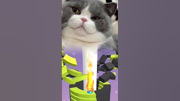 my cute cat playing stack ball level 21 #cat #funny #cutecat #gaming