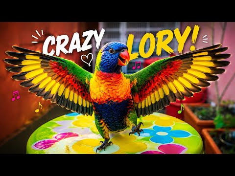 Crazy Rainbow Lorikeet Parrot Talking and Dancing | Funniest Pet Bird Ever! 🦜😂