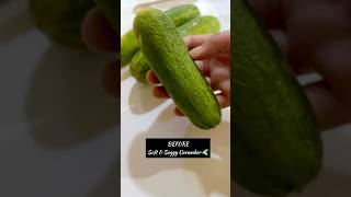Soft Cucumbers Ko Fresh Karne Ka Ice Water Hack 🥒❄️#shorts #viral