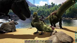 Играю в Ark в своё удовольствие | Стрим 45