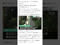 「母親を殴った」50歳の息子を逮捕 85歳の母親は死亡 横浜市泉区・2024-7-09日语・日本NHK