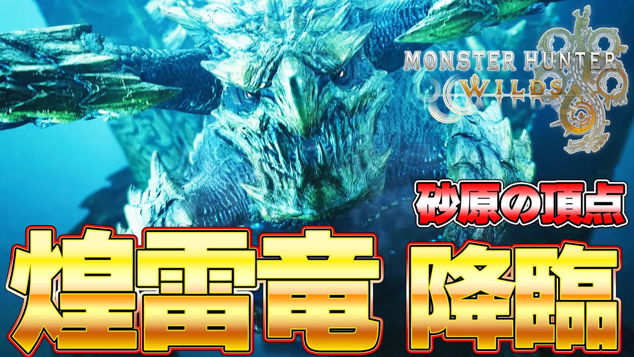 ねね 革命機ヴァルヴレイヴ　モンスターハンターライズ　お引取り ねね 革命機ヴァルヴレイヴ モンスターハンターライズ お引取り Switch