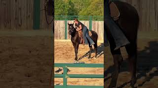 Wallys first ride! Part 3! #Horsebackriding #horse