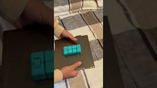 Famous 3D Printed Infinity Cube Fidget! #infinitycube #3d #3dprinterupgrade #3dprinting #squidgame2 Net Worth