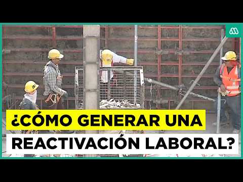 Con Peras y Manzanas | Propuestas para la reactivación laboral