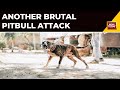 Delhi Woman Protests Pitbull Defecating Outside Her Home, Owner Sets Dog On Her