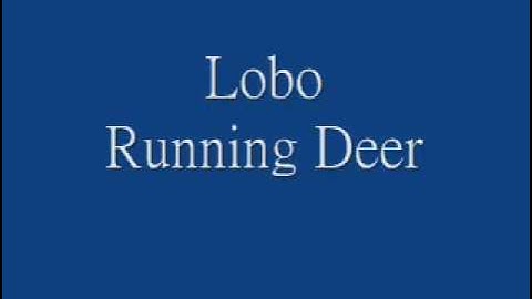 Lobo - Running Deer