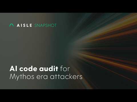 AISLE Snapshot | A One-Time AI Code Audit in Hours