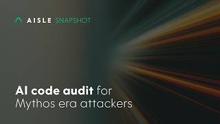 AISLE Snapshot | A One-Time AI Code Audit in Hours