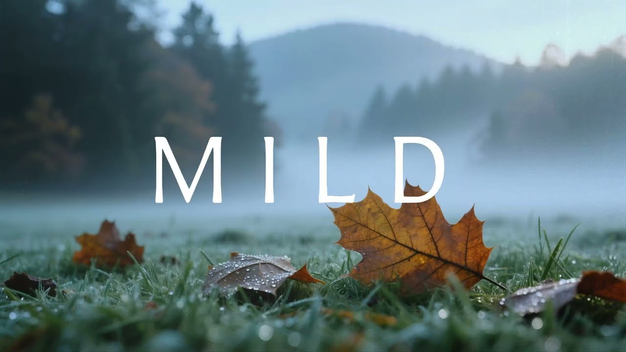 MILD   Soaking ambient instrumental  心灵净化·以温和节奏软化尖锐情绪