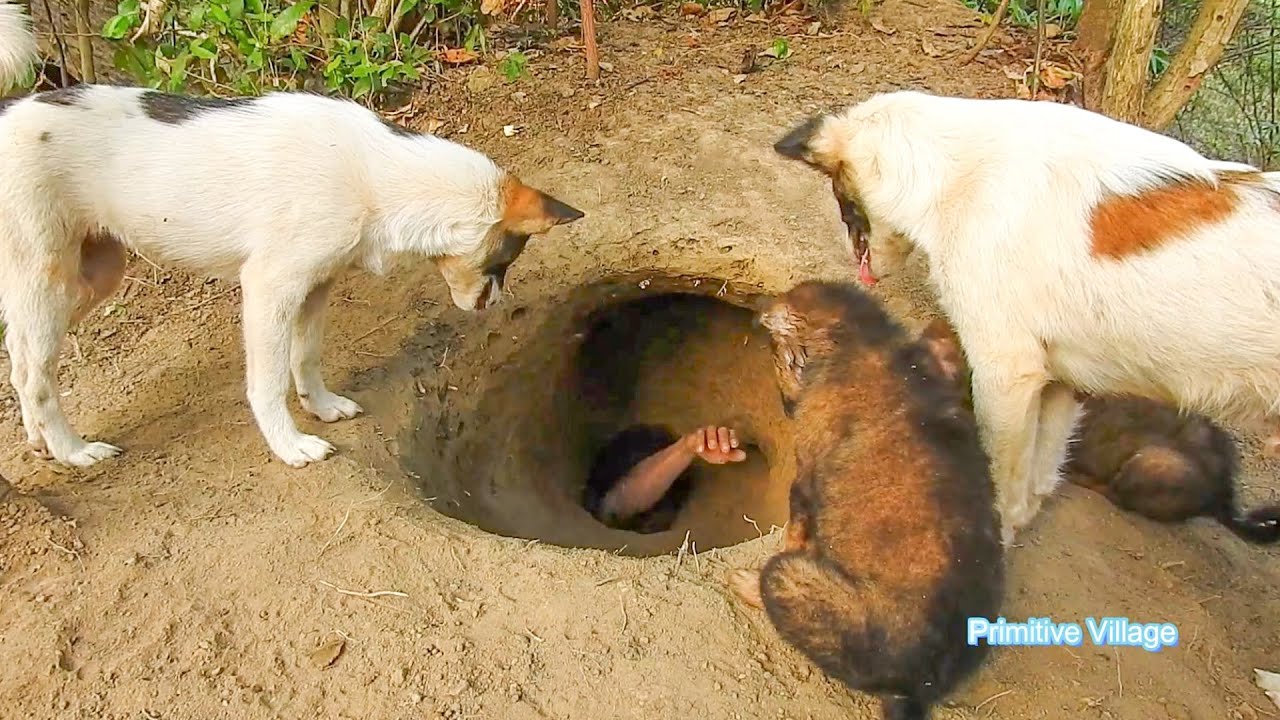 Primitive Village building high security secret underground bamboo room to protect from(Top 2 full )