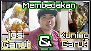 Membedakan Jos Garut dan Kuning Garut