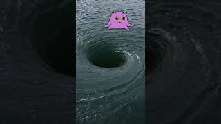 What IS Charybdis??? #seamonster #charybdis #cetaceans #whirlpool