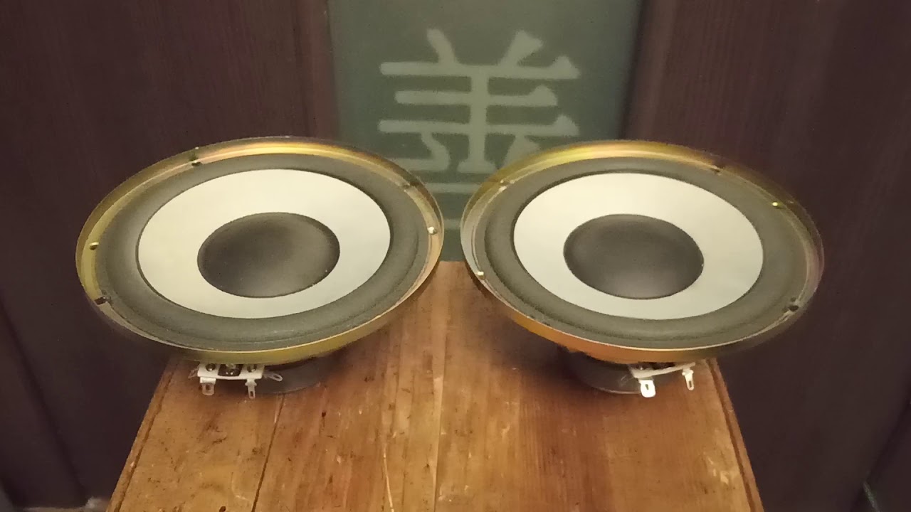 T17pl07d6 характеристики динамики technics. 20гдш-108. Sound pro sa-328. Динамики technics. Динамики technics t14pl01a6 характеристики.