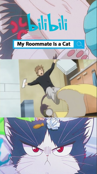 bilibili 1129 ph qyx 1 My Roommate Is a Cat