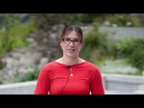 Study Abroad in New Zealand | Consider an International Exchange at The University of Waikato