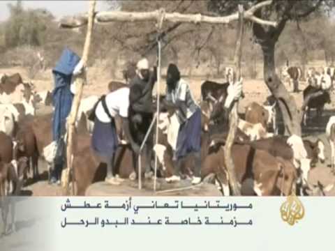معاناة البدو الموريتانيين في بحثهم عن المياه