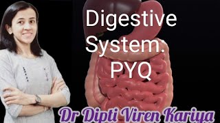 5. Digestive system - questions screenshot 4