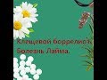 Клещевой боррелиоз. Болезнь Лайма