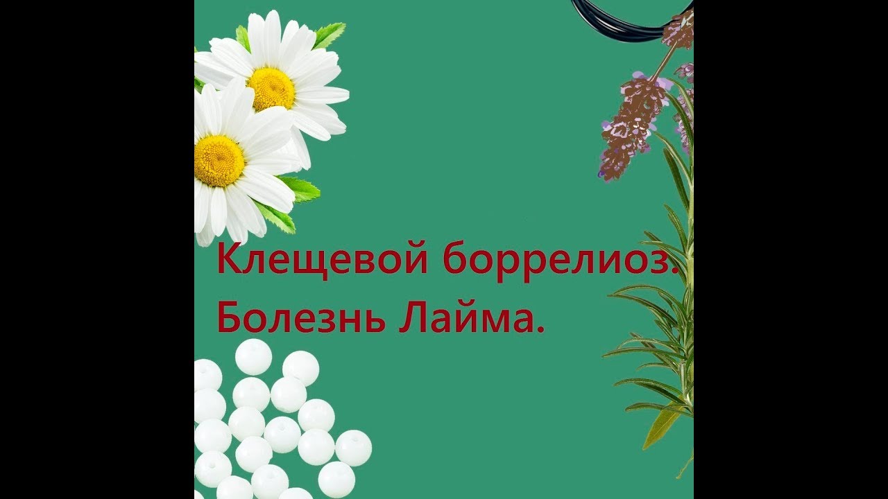 Клещевой боррелиоз. Болезнь Лайма