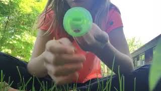 pacifier collection