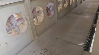Celebrity Used Batch off cooling line for sale! Net Worth
