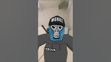 Answering YOUR Comments Part 1 #gorillatag #gorillatagquest #vr #comedyskits #gtag