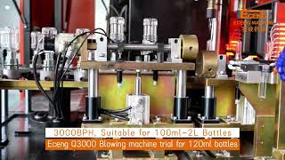 Start Your Business Right: Affordable 2 Cavity Fully Automatic Bottle Blow Molding Machines