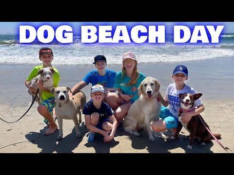 Took our Dog to the Beach, Then THIS Happened!