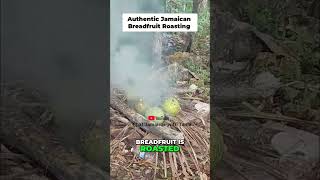 Authentic Breadfruit Roasting Over Open Fire: The REAL Way! #shorts