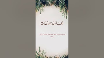 سورة البلد مع ترجمة ومعاني الكلمات | الشيخ أحمد طالب حميد