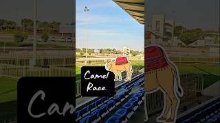 Camel Race 🐪🏁 | Dubai Racing Stadium in Dubai 🇦🇪