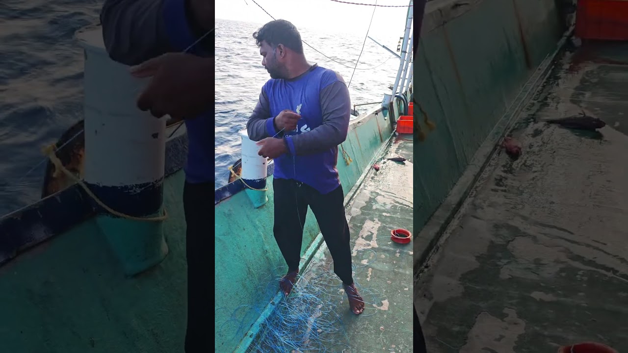 Мы поймали красного окуня на крючок с помощью своих рук.