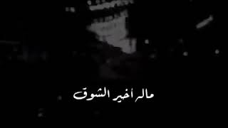 شوق قلبي كبير عشق كثير مالي اخير الشوق💘🥺