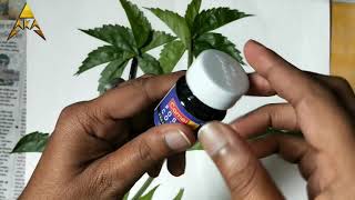 toothbrush spray painting