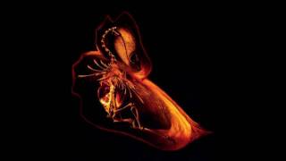 Download Lagu bola (Pfane Pt 2) MP3