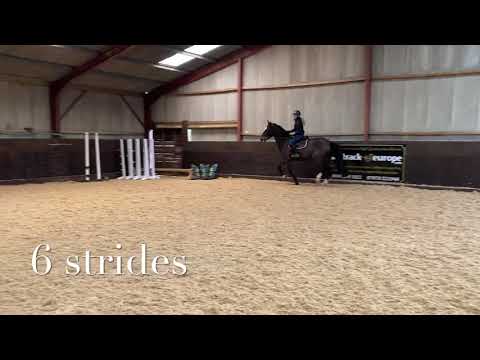 Pole work exercises