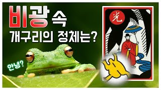 [내일을 바꾸는 5분] 개구리에게 배우는 인생의 교훈