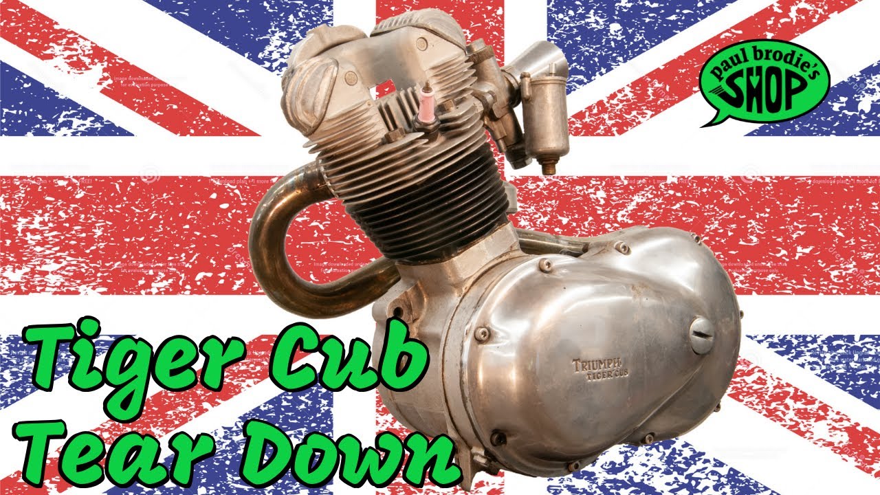 Разборка тигренка // Магазин Пола Броди