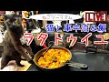 【猫と車中泊】ラタトゥイユ