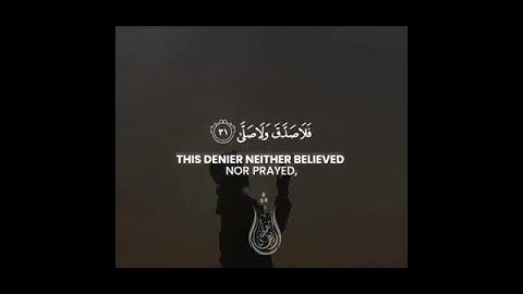 قرآن كريم بصوت القارئ شريف مصطفى تلاوة مؤثر ارح قلبك 💚🌿حالة واتس إسلامية /استوري انستغرام