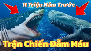 Reivew Động Vật Hoang Dã | Đại Chiến Cá Mập Megaladon và Cá Voi Leviathan Sát Thủ P1 