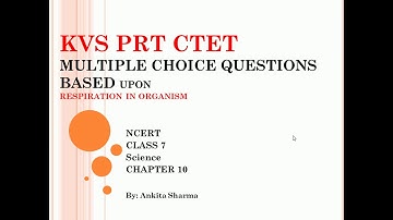 Multiple Choice Questions based on Respiration in Organism NCERT Class 7 Science Chapter 10