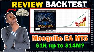 Mosquito EA MT5 Full Review Inputs and Backtest in 2 year | EcomForex
