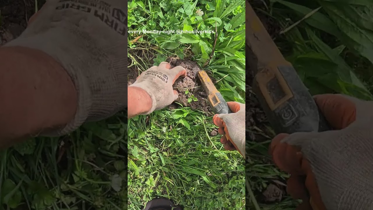 Metal Detecting Surprise Toy Car 