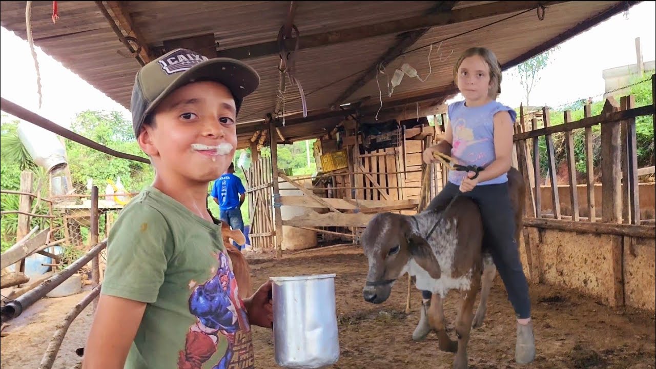 Na Roça As Crianças Fazem De Tudo