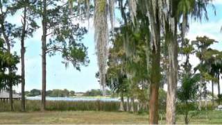 4831 Lake Cecile Drive, Kissimmee, Fl 34746
