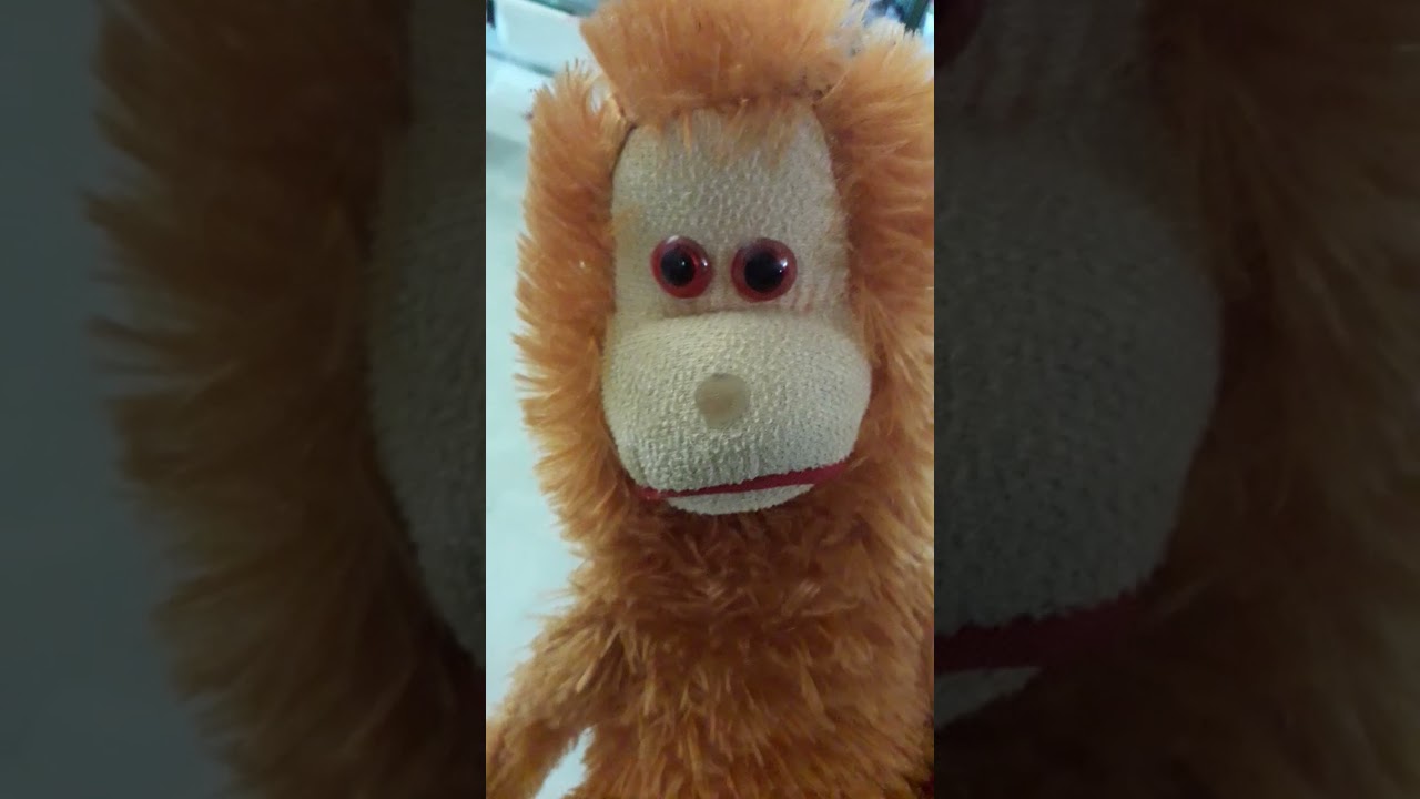 Kappa the Monkey VS Teddy the Bear 🤣🤣