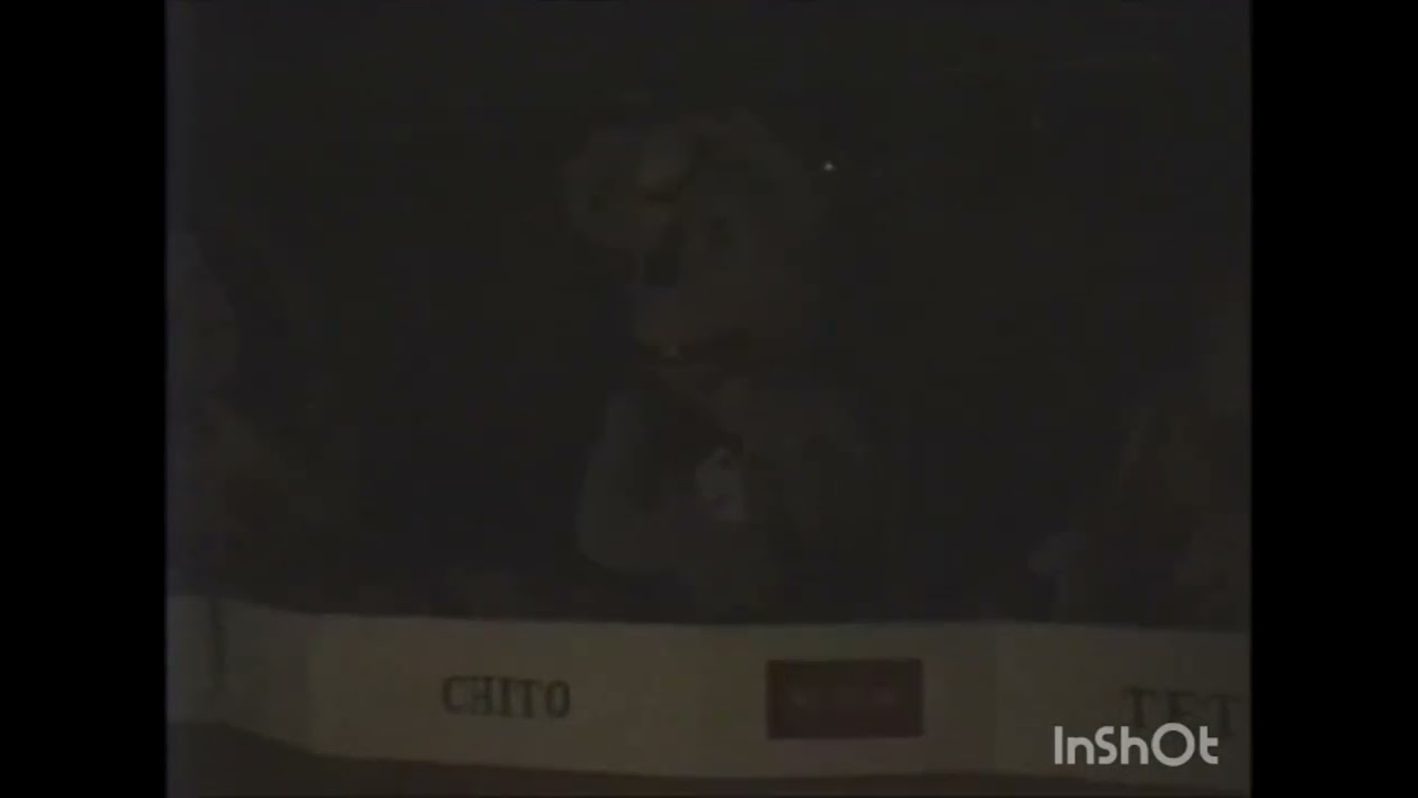 Rare footage in fun place Boomis pizza fiesta 